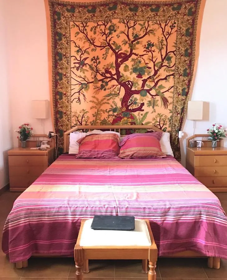 Wifi Tenerife Sur Guest House Granadilla De Abona